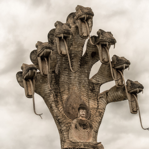 wallhaven-qdrygr_50…