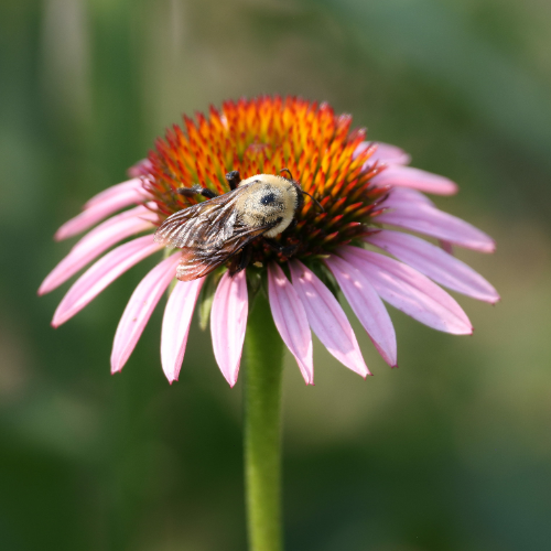 wallhaven-21zw6x_50…