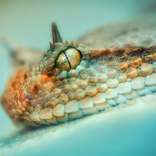 wallhaven-r7qxow_50…